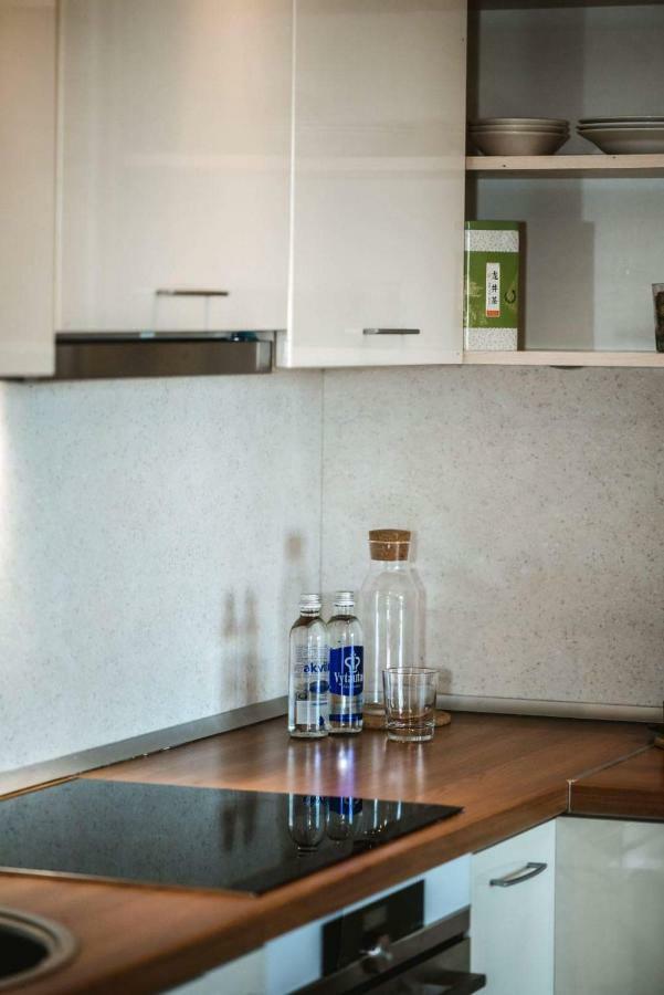 New Apartament Very Close To The City Centre VNO Exterior photo